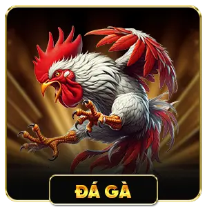 Đá Gà F168